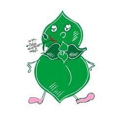 semer de l'origan dans le potager